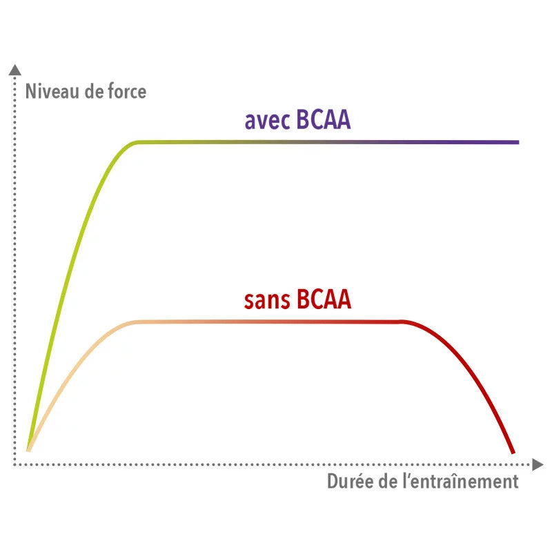 BCAA  4 : 1 : 1 - Citron - STC Nutrition